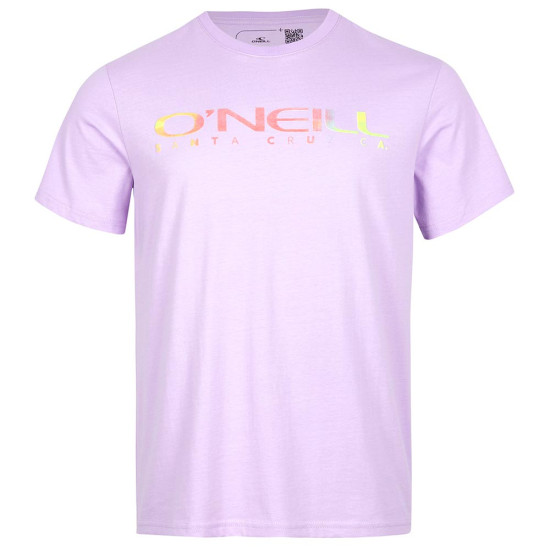 O'neill Ανδρική κοντομάνικη μπλούζα Sanborn T-Shirt